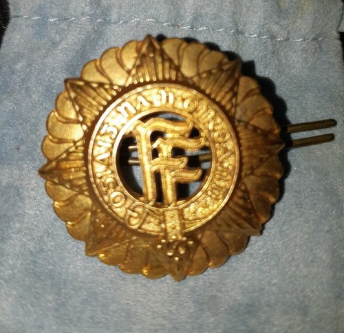 Irish navy officers - officers, badge